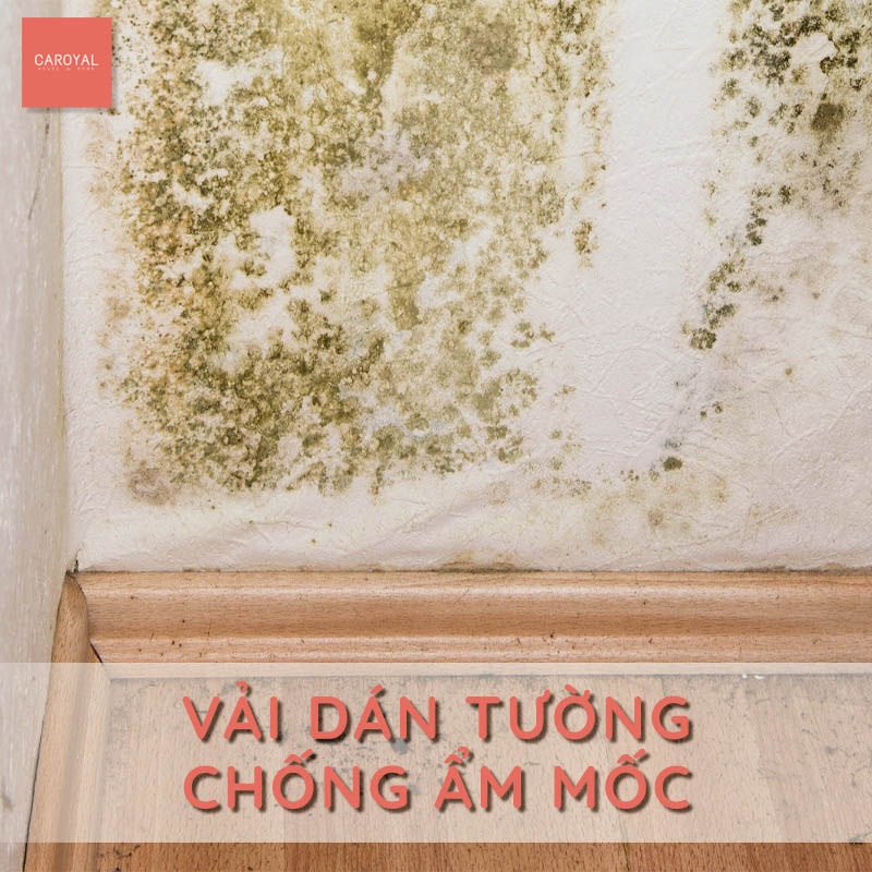 Vải dán tường thoáng khí, chống ẩm mốc - CAROYAL