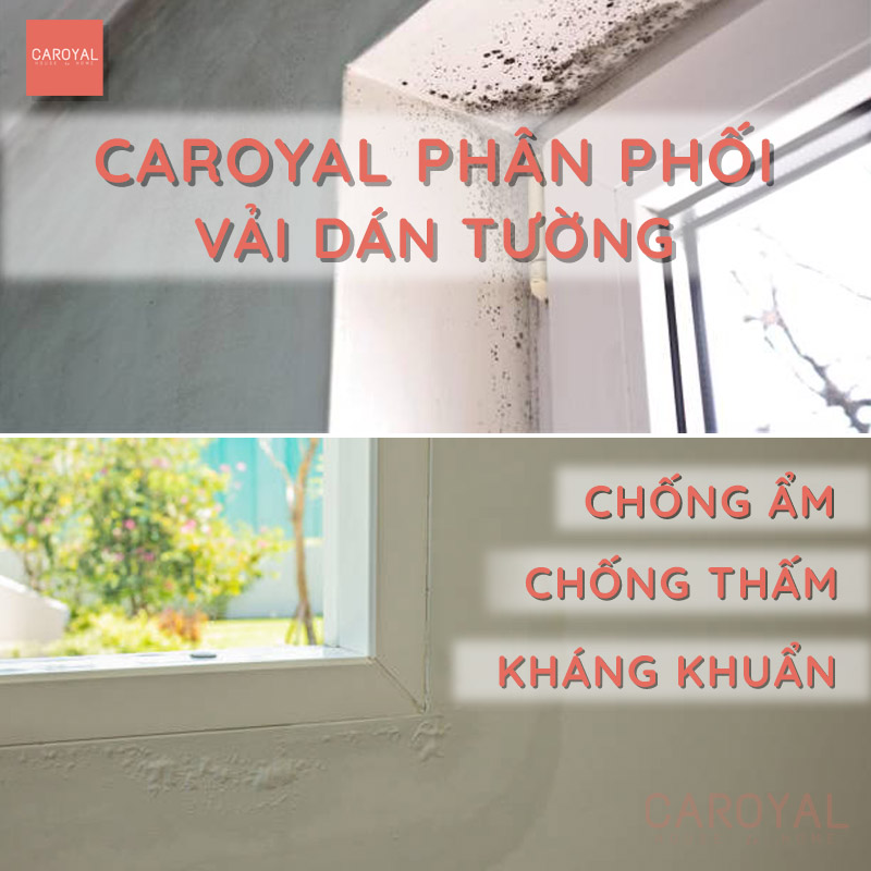 CAROYAL phân phối vải dán tường chống ẩm, chống thấm nước, kháng khuẩn