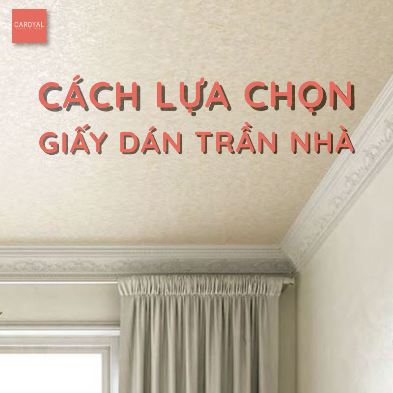 Cách lựa chọn giấy dán tường trần nhà phù hợp