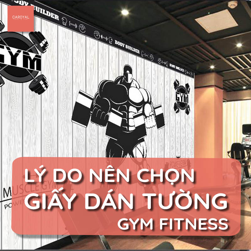 Lý do nên chọn giấy dán tường cho phòng Gym Fitness