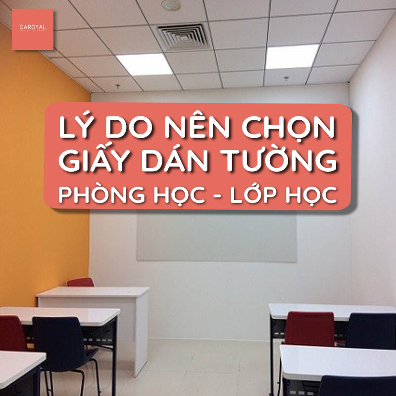 Lý do nên chọn giấy dán tường trang trí cho phòng học, lớp học
