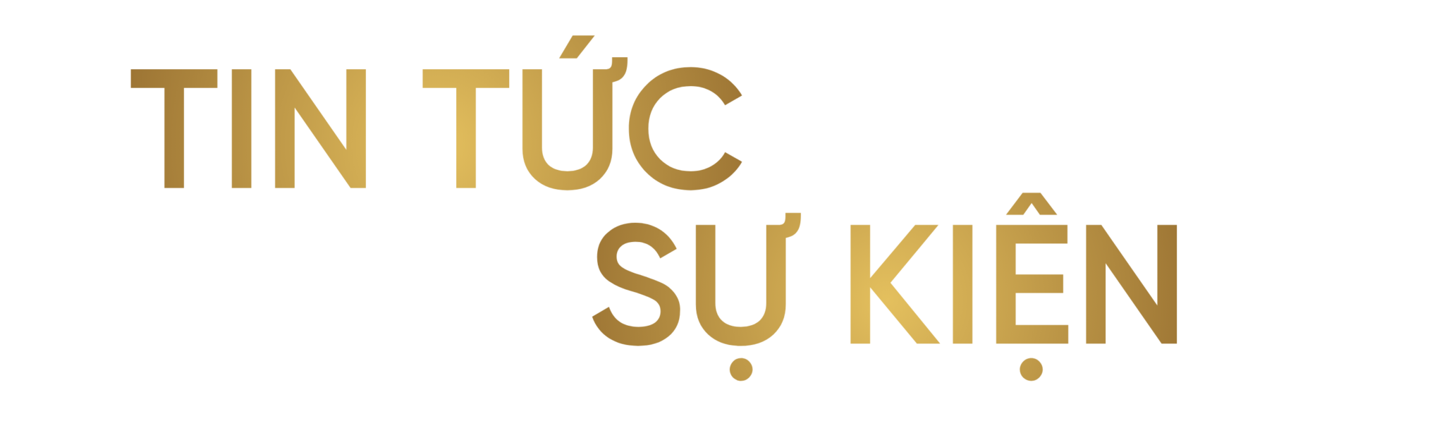 tin tuc su kien trang chu