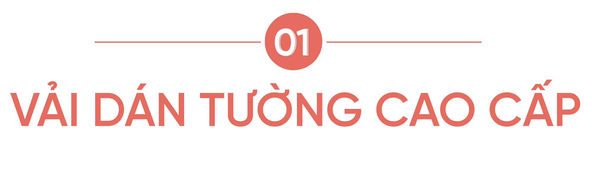 anh chu vai dan tuong cao cap