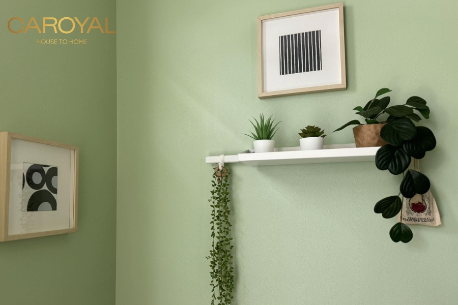 Giấy dán tường màu xanh lá cây nhạt Giấy dán tường màu xanh lá cây nhạt