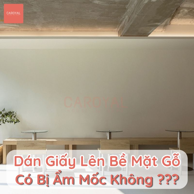 Dán giấy dán tường lên gỗ có bị ẩm mốc không?