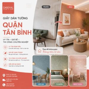 Giấy dán tường Quận Tân Bình uy tín, giá rẻ, thi công chuyên nghiệp