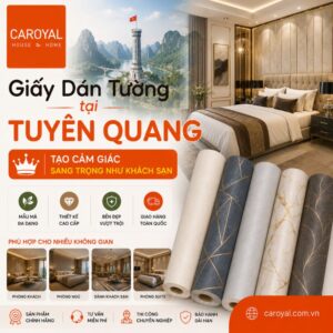 Giấy Dán Tường Tại Tuyên Quang Sang Trọng, Bền Đẹp, Giá Cập Nhật Hôm Nay