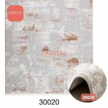30020