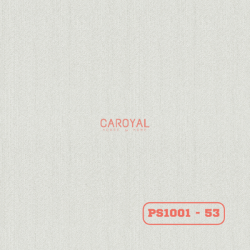 53