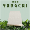 Thảm Trải Sàn YANGCAI
