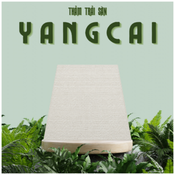 Thảm Trải Sàn YANGCAI
