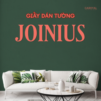 Giấy Dán Tường Quyển JOINIUS NEW