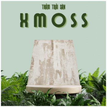Thảm Trải Sàn XMOSS