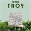 Tieu de 8 1